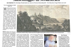 Salzschmuggler-im-Neckarbecken-Artikel-HST-17.8.19